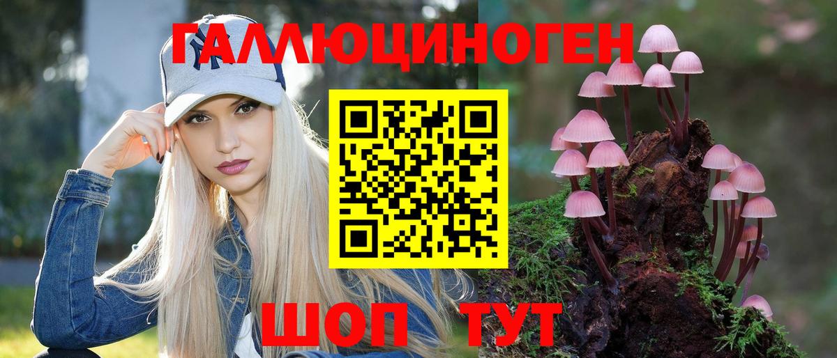 Шахты  Галлюциногенные грибы прущие грибы  Вход с VPN  Галлюциногенные грибы ЛСД 