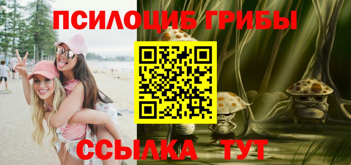 Псилоцибиновые грибы Psilocybine cubensis Шахты